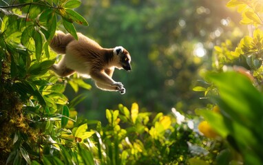 Fototapeta premium A Lemur Leaps Through the Vibrant Lush Canopy of a Rainforest