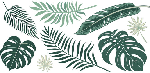 A watercolor illustration showcasing an assortment of tropical foliage. The composition features various types of leaves, including Monstera, banana leaves, ferns, palm fronds, and heart-shaped leaves © joyrun12