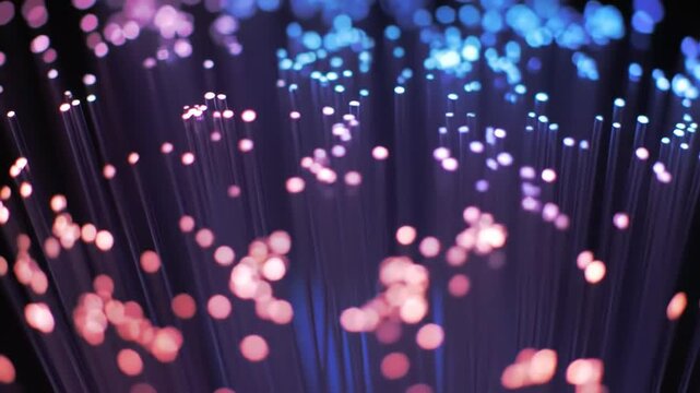A colorful array of fiber optic lights creates a digital background