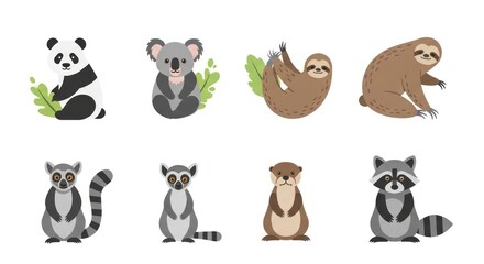 Fototapeta premium Cartoon animals collection panda koala sloth lemur otter and raccoon vector illustration