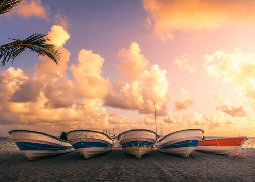 Caribbean adventures. Tropical sunrise