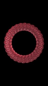 Abstract red geometric torus pulsating and rotating