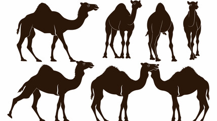 Silhouette depiction showcasing various poses of camels, featuring different perspectives and angles