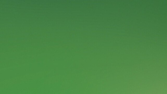 Green Gradient Background: A vibrant display of a gradient in lush, verdant tones, ideal for a variety of designs and concepts.