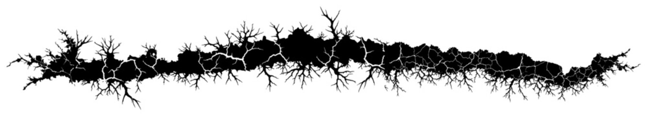 Intricate horizontal ground fissure with fine branch like details in black silhouette style © AnimalZOO