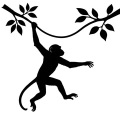 a monkey