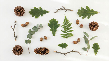 Fototapeta premium Minimalist Forest Elements Flat Lay on White Background. Clean overhead arrangement of pine cones, green leaves, acorns and small twigs on pristine white surface with soft shadows