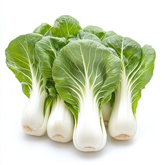 Fresh heads of baby bok choy with white stems and green leaves isolated on a white background