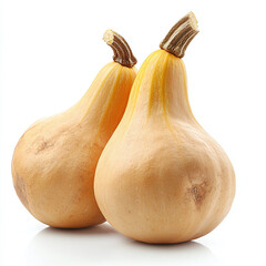 Two whole raw butternut squashes with stems isolated on a white background