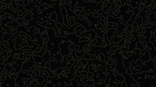 Abstract modern dynamic topographic map style lines constantly morphing and moving in seamless loop