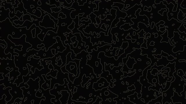 Abstract organic line movement animation creating a modern topographic map style pattern on black