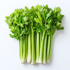 Fresh bunch of green celery stalks with leaves isolated on a white background