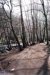 Obraz premium Sonniger Tag im Bodetal mit freiem Blick