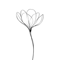 Abstract image of a stylized flower with delicate petals against a solid black background