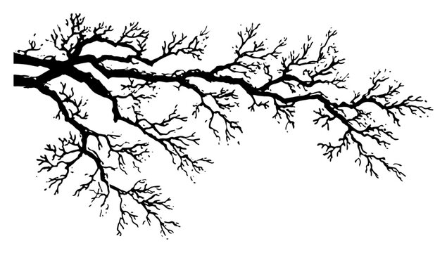 Detailed drawing of a bare tree branch stretching horizontally in black and white ink style