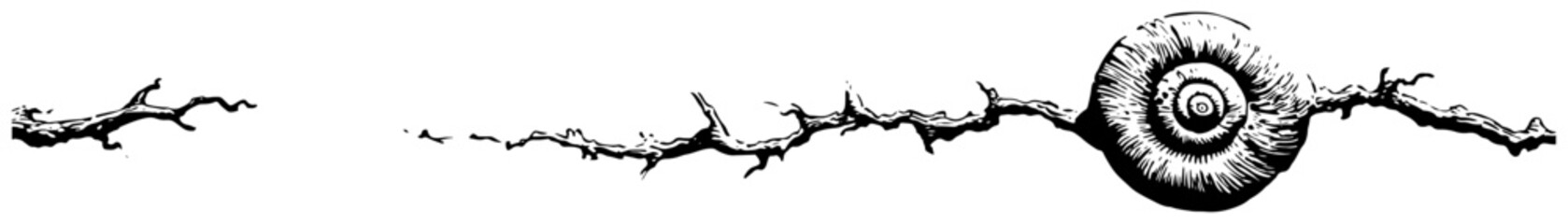 Surreal spiral shape appearing within a ground crack © AdrianGebert