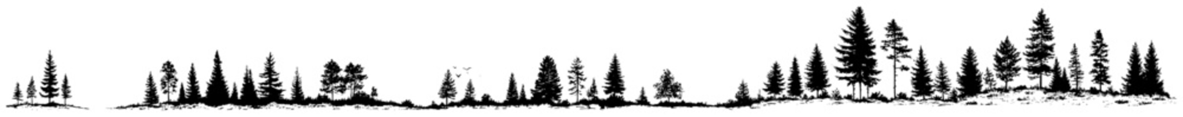Panoramic forest skyline with various pine trees silhouette © AdrianGebert