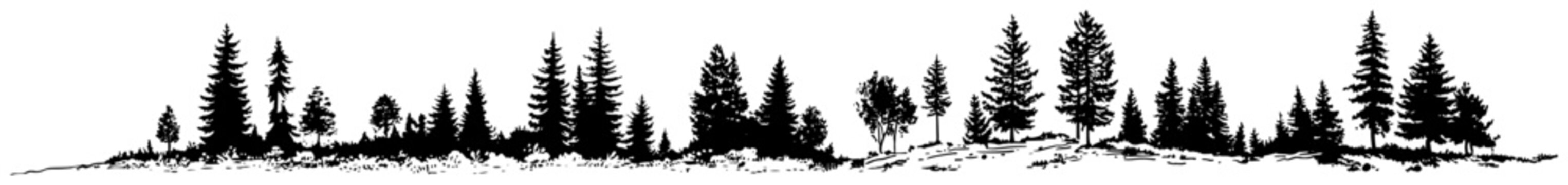 Hand drawn sketch of a wild pine forest landscape