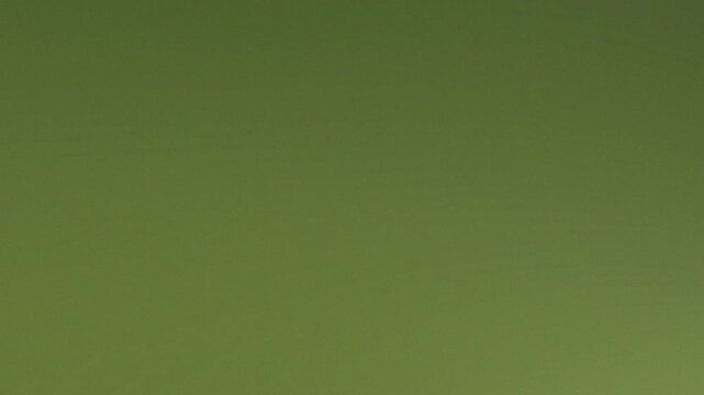 Serene Olive Backdrop: A smooth, vibrant olive green background, creating a sense of tranquility and adaptability for various design purposes. 