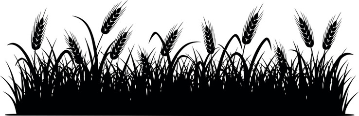 Black silhouette of wheat stalks growing in a grassy field, perfect for agricultural or harvest themes. © SAIFUL