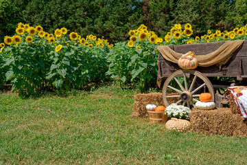Farmland country seasonal display