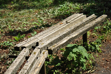 Empty wooden bench in the park, concept of solitude, relaxation and peace.
