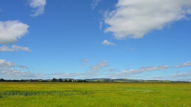 Weite Landschaft unter blauem Himmel mit leicht bew&ouml;lktem Horizont und einem gro&szlig;en gr&uuml;nen Feld, Waimate, Canterbury, S&uuml;dinsel, Neuseeland, Ozeanien