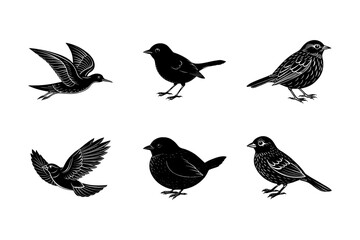 A group of birds in different poses and styles