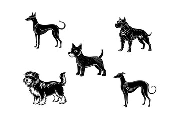 Five different breeds of dog in a black and white illustration