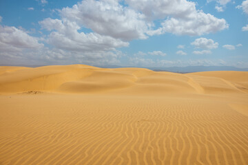 Fototapeta premium Golden Sand Dunes of Coro under a Blue Cloudy Sky in Paraguaná, Venezuela
