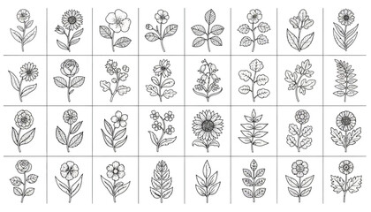 Botanical Vector Illustration Collection | Black and White Floral Grid | Stylized Plant Line Art | Decorative Flower Sketches | Educational Vector Artwork for Botanical Studies