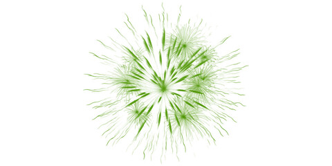 Festive green fireworks explode in the night sky celebrating holidays and special occasions with vibrant light displays