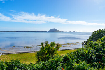 Pou or totem poles at Otumoetai Pa site on Levers Road, Tauranga.