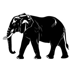 Fototapeta premium Black Elephant Silhouette Standing on White Background.