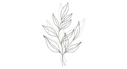 Obraz premium Black and beige leaf on white background leaves plant