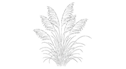 Gray of cattail plant monochrome white background © SnappyDesigns