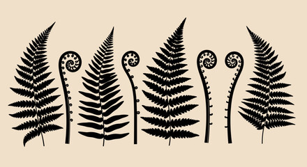 Vintage Fern Silhouette Collection – Botanical Black Foliage Clipart Set © Hussain