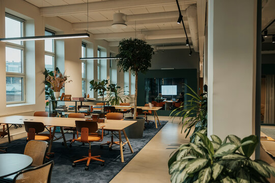 Furniture arranged neatly in modern working space
