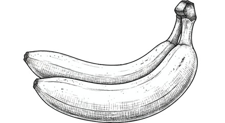 Two bananas with stem on white background fruit black and white © SnappyDesigns