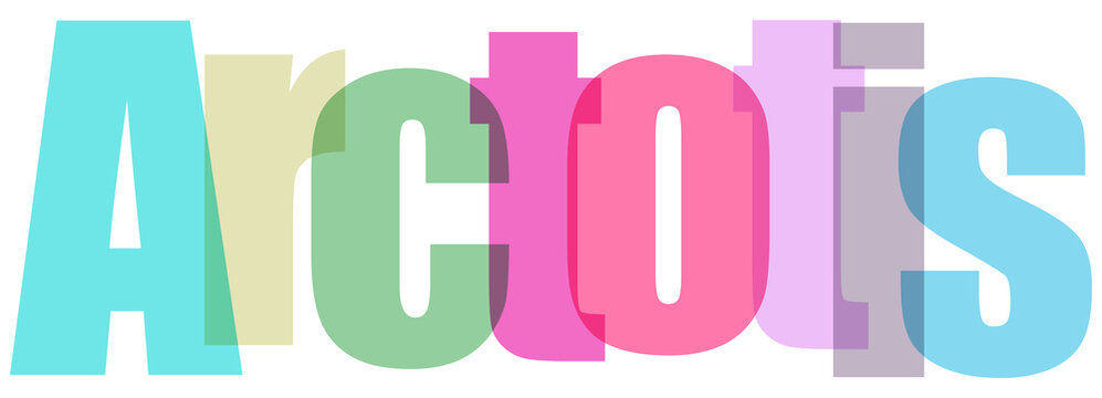 Arctotis Multicolored Flower Text Typography on White Background