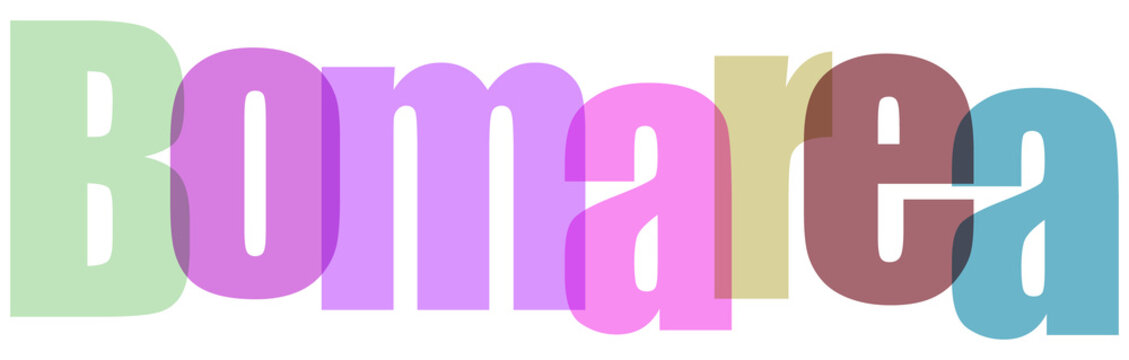 Colorful Bomarea Text on White Background