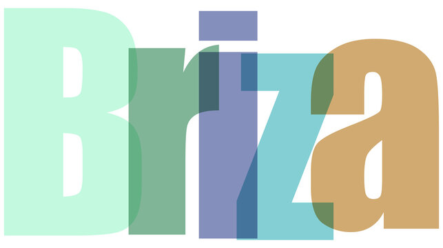 Colorful Briza Logo Design on White Background