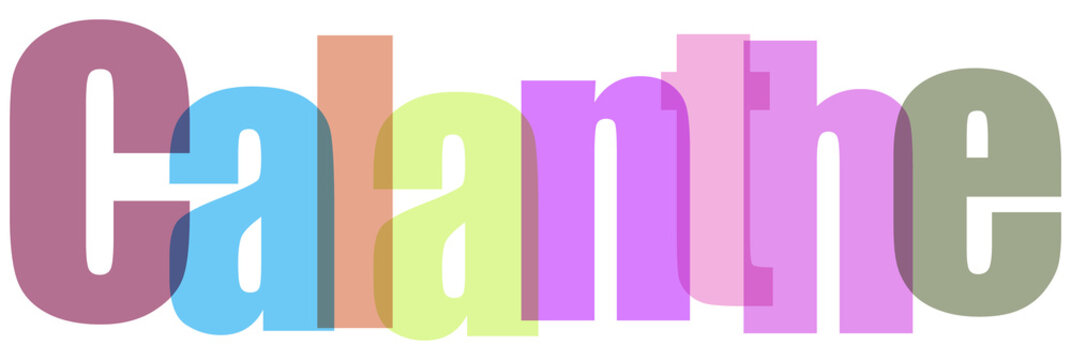 Calanthe Multicolored Text on White Background