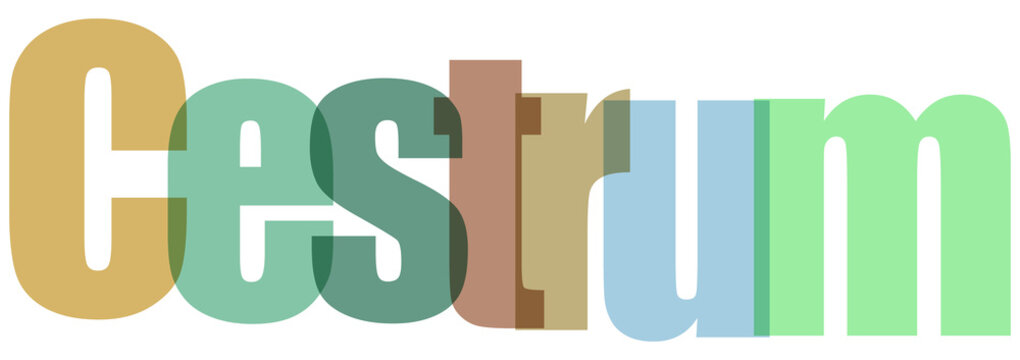 Cestrum Logo Design with Multicolored Letters on White Background