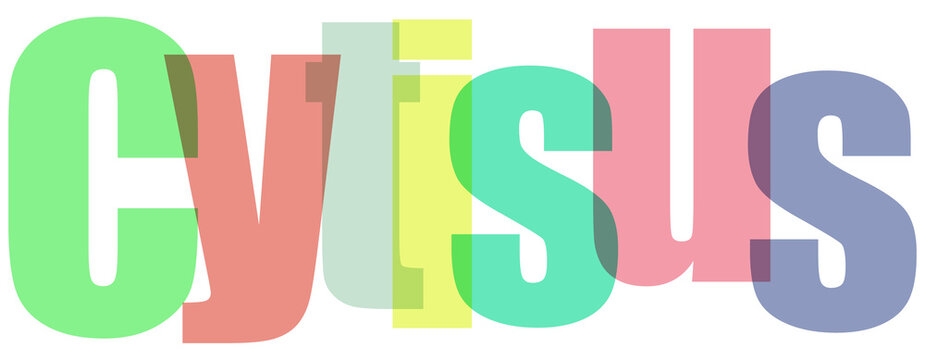 Cytisus Multicolored Text on White Background