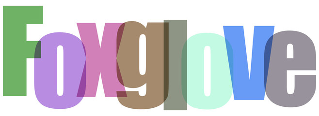 Colorful Foxglove Text on White Background © Masud010