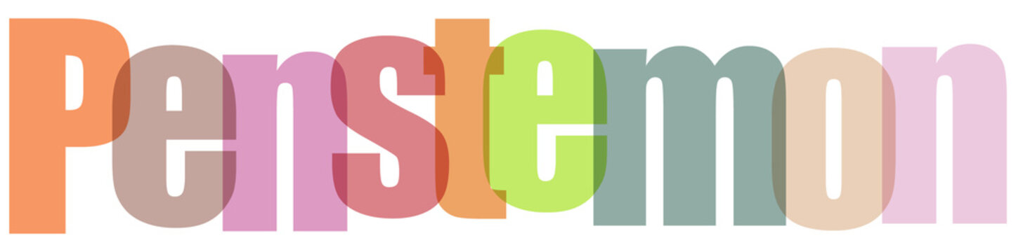 Colorful Penstemon Text on White Background