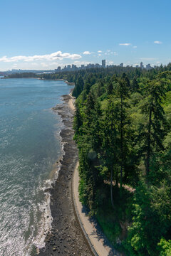 Stanley Park Seawall Vancouver Skyline.Stanley Park and the Vancouver skyline from the Lion&rsquo;s Gate Bridge.
