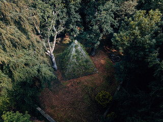 Obraz premium Mysterious Ancient Pyramid Hidden in a Dense Forest, Overgrown Stone Structure in Soft Natural Daylight