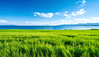 Obraz premium A serene landscape unfolds with a vast expanse of lush, vibrant green grass stretching